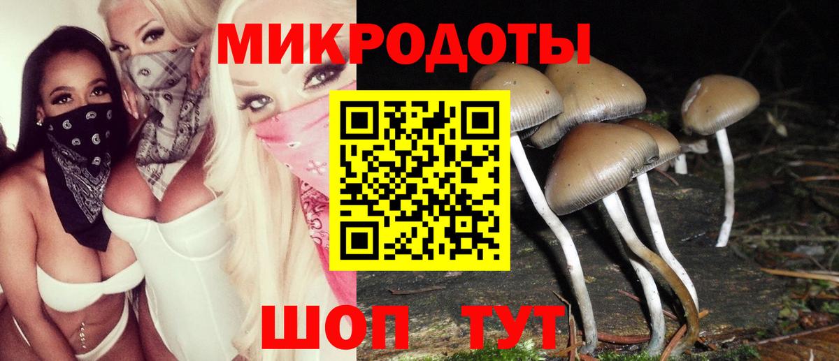 Галлюциногенные грибы мухоморы  Вход с VPN  Волхов  Псилоцибиновые грибы MAGIC MUSHROOMS 