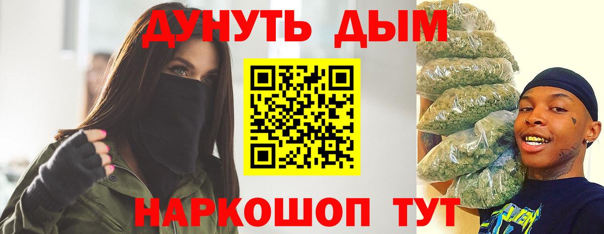 Конопля гибрид Волхов